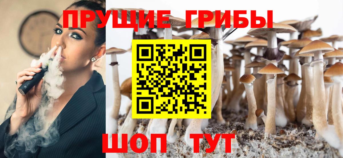 Псилоцибиновые грибы Magic Shrooms Сарапул